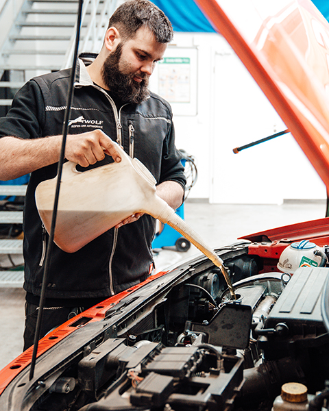 autoservice-wolf-oelpruefung-reichenbach-inspektion-wartung